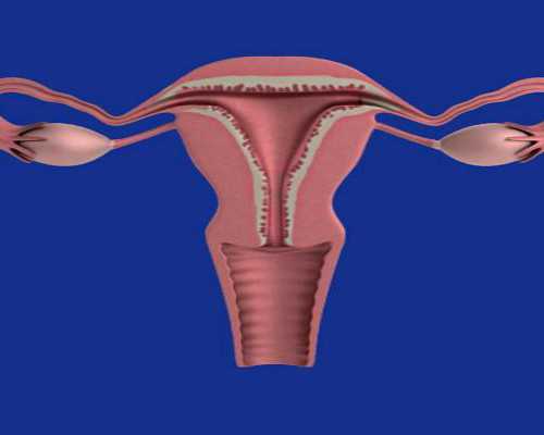 医院供卵服务与试管婴儿成功率保障指南