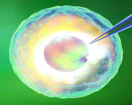 济南代怀妈妈酬劳 济南供卵试管费用多少，2024山东供卵试管费用预估 ‘孕囊椭