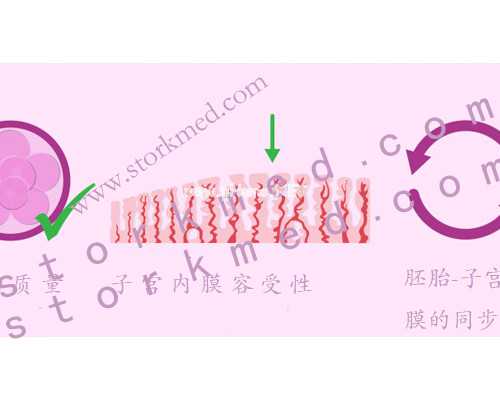 济南捐卵多少钱一次 济南试管婴儿公司如何选择？有哪些选择标准？ ‘怀孕彩