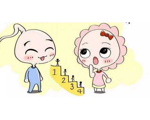 供卵试管选性别与成功率因素详解