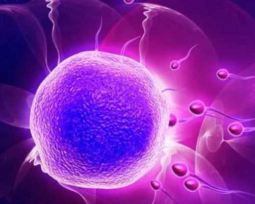 济南代孕试管选择指南与成功率提升策略