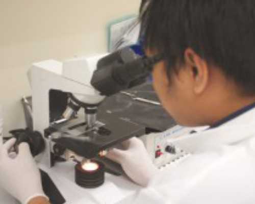 供卵试管可靠性及费用优化策略解析