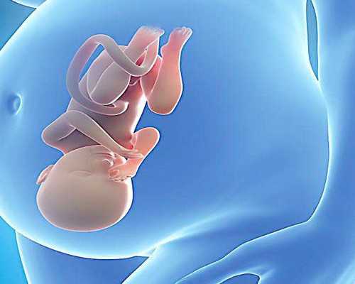 济南借卵生子注意什么 济南军区试管婴儿qq群去哪找？QQ群有什么用？ ‘孕九周