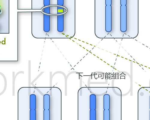 济南齐鲁医院试管婴儿成功率解析与影响因素探讨