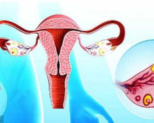 代怀公司流程与山大生殖试管成功率解析