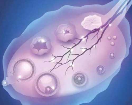 济南军区医院试管婴儿成功率与费用解析，助孕供卵选择指南