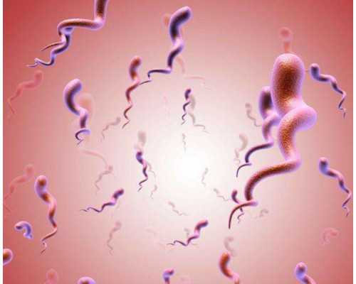 济南试管生子医院,济南助孕公司|济南供卵试管医院|济南试管供卵试管机构_济