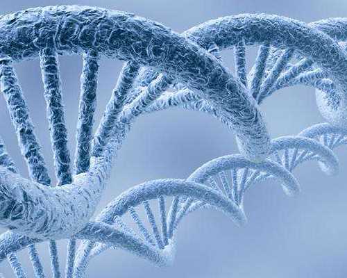 济南三代助孕代怀费用,济南试管婴儿医院,济南三代试管婴儿医院济南960医院试