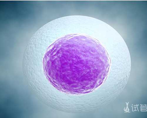 济南包成功代生费用,济南助孕公司|济南供卵试管医院|济南试管供卵试管机构