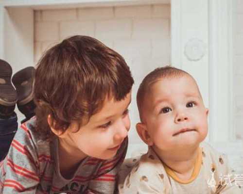 济南助孕代生孩子公司,济南助孕公司|济南供卵试管医院|济南试管供卵试管机构