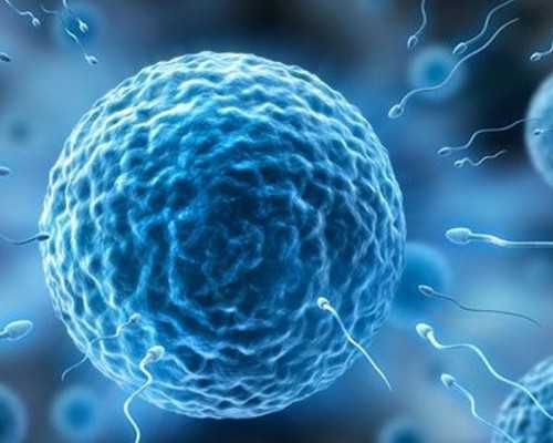 济南三代试管包生男孩,济南助孕公司|济南供卵试管医院|济南试管供卵试管机构