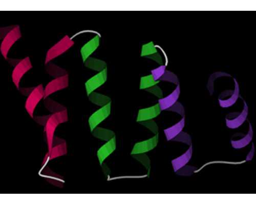 济南代怀供卵平台,济南供卵女孩（济南试管）