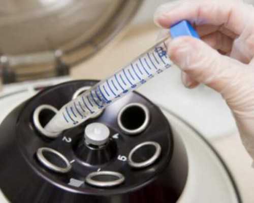 济南代怀费用与供卵机构选择指南 脂肪厚度对B超性别检测的影响解析