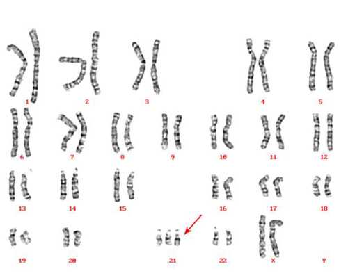 济南代怀与试管婴儿医院费用成功率及双胞胎排名解析