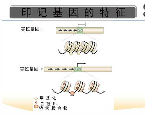 2024年济南人工授精医院排行及成功率费用解析，助孕选择指南